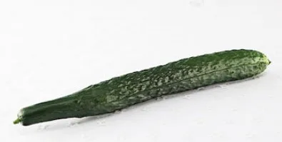 Artificial Simulation Cucumber PU