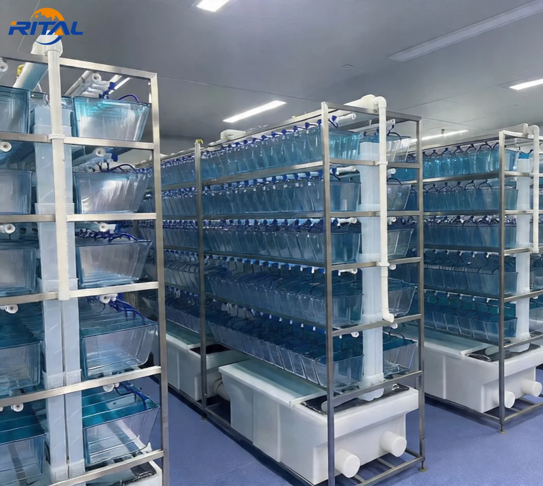 AIROW Customized Service Zebrafish Breeding System Complete Lifecycle Support Automated Water Management for Research Lab