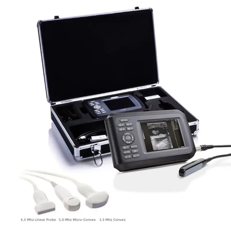 pet dog pig sheep  ultrasound scanner veterinary vet ultrasound portable machine animal ultrasound