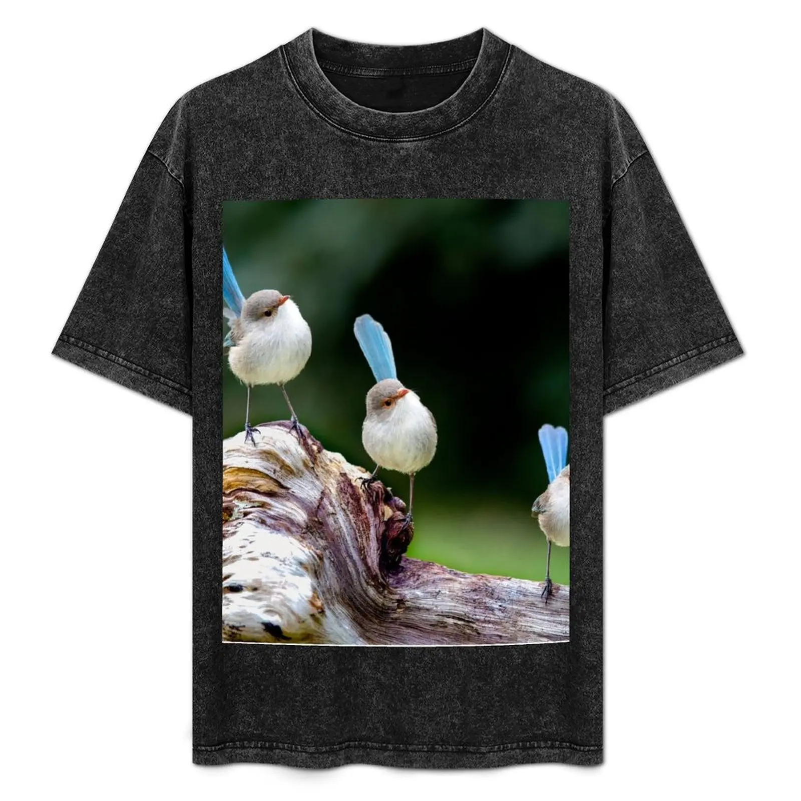 A Trio of Fairywrens T-Shirt Funny t-shirt plus size clothes oversized t shirt men