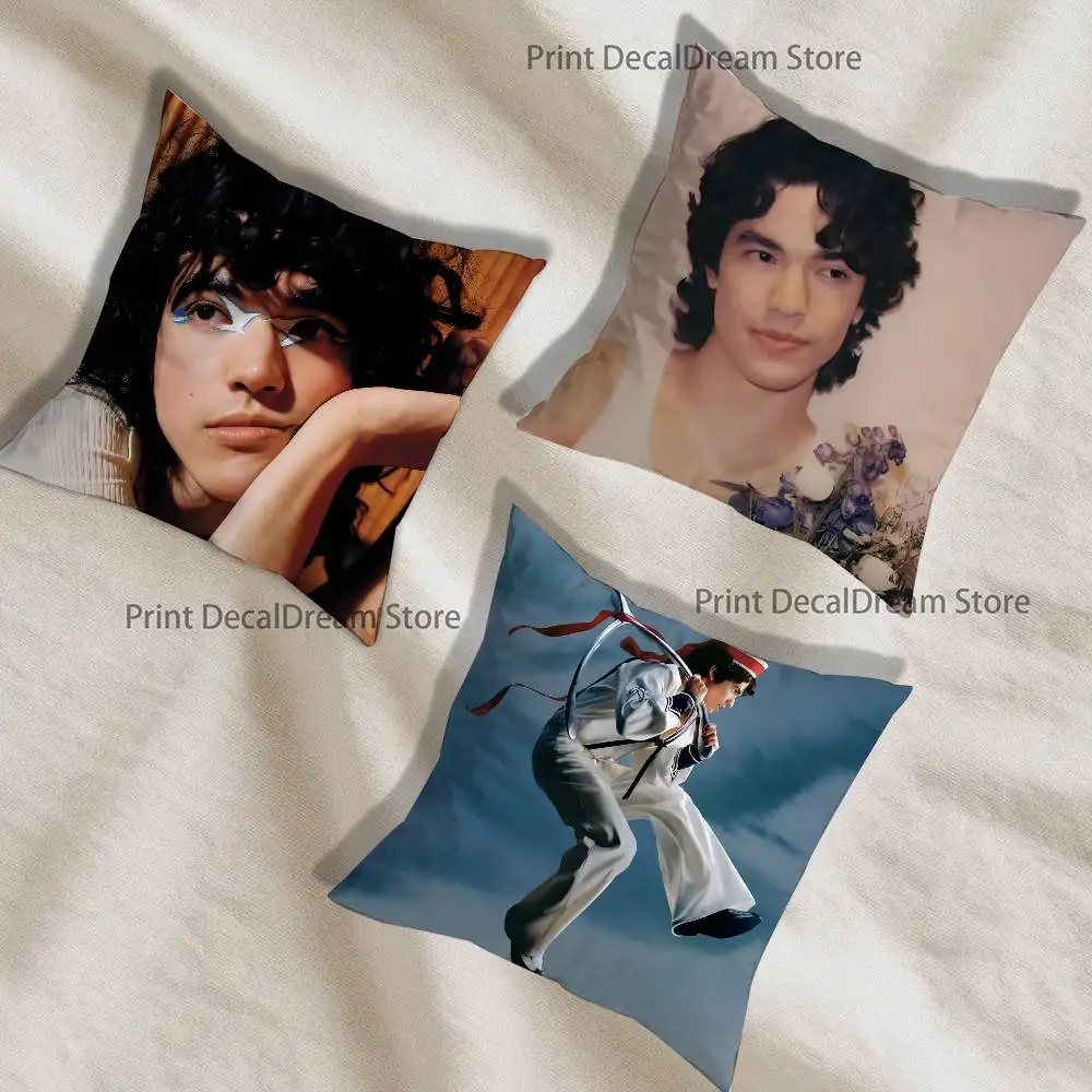 

Singer C-Conan Gray Printed Pillow Cover Cushion Case Simple Sofa Pillow Case No Pillow Core