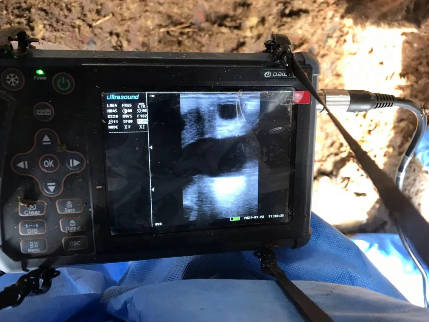 EURVET veterinary device, palm-sized veterinary ultrasound scanner, winter mode, one-click start, 6-hour battery life