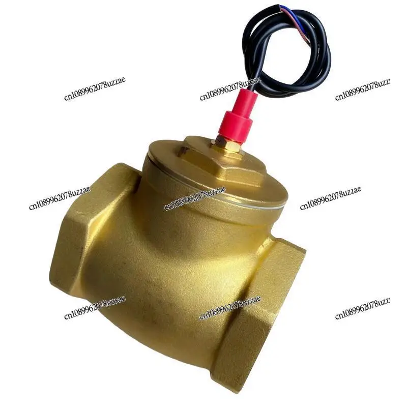Baffle Type All-copper 2.5 Inch DN65 Switch Water Flow Signal Flow Switch Control Reed Pipe Water Break Protection