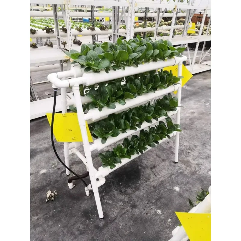 Indoor Hydroponic NFT System Planting Vegetables Double Sides