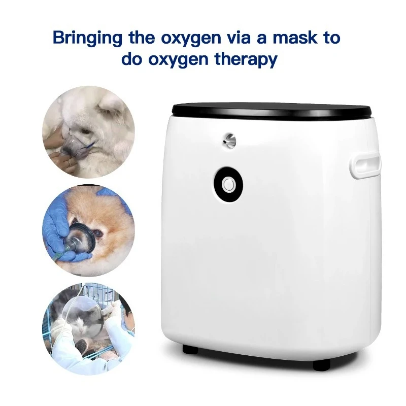 【Best-selling】Factory Supply 1-7L Flow Dog Mini Portable Therapy Concentrator  For Animals