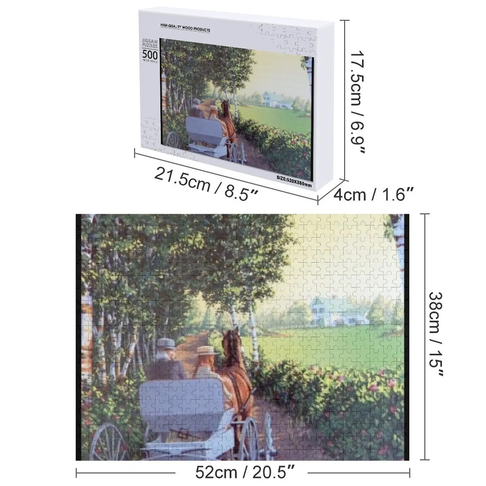 Anne With An E Jigsaw Puzzle Scatole di legno Puzzle regali personalizzati