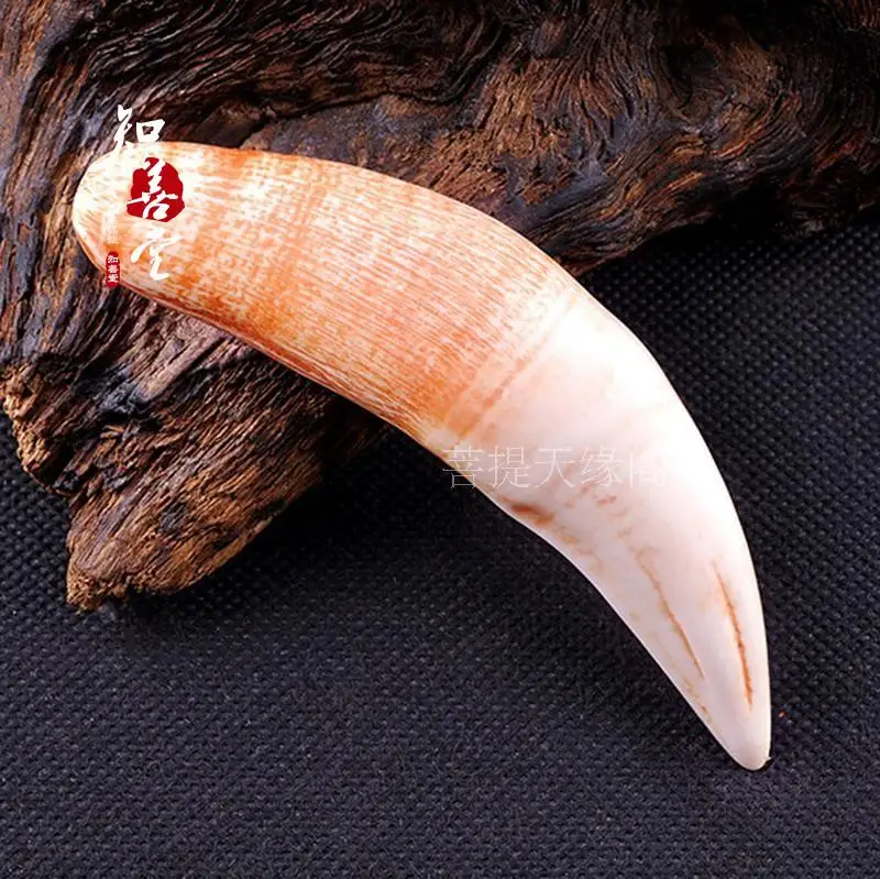 decoration Tiger tooth shape  big cat tooth pendant stationery collection animal teeth