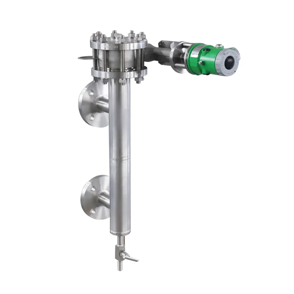 High Accuracy ECKARDT Displacer Different Pressure Transmitter For Level Measurement