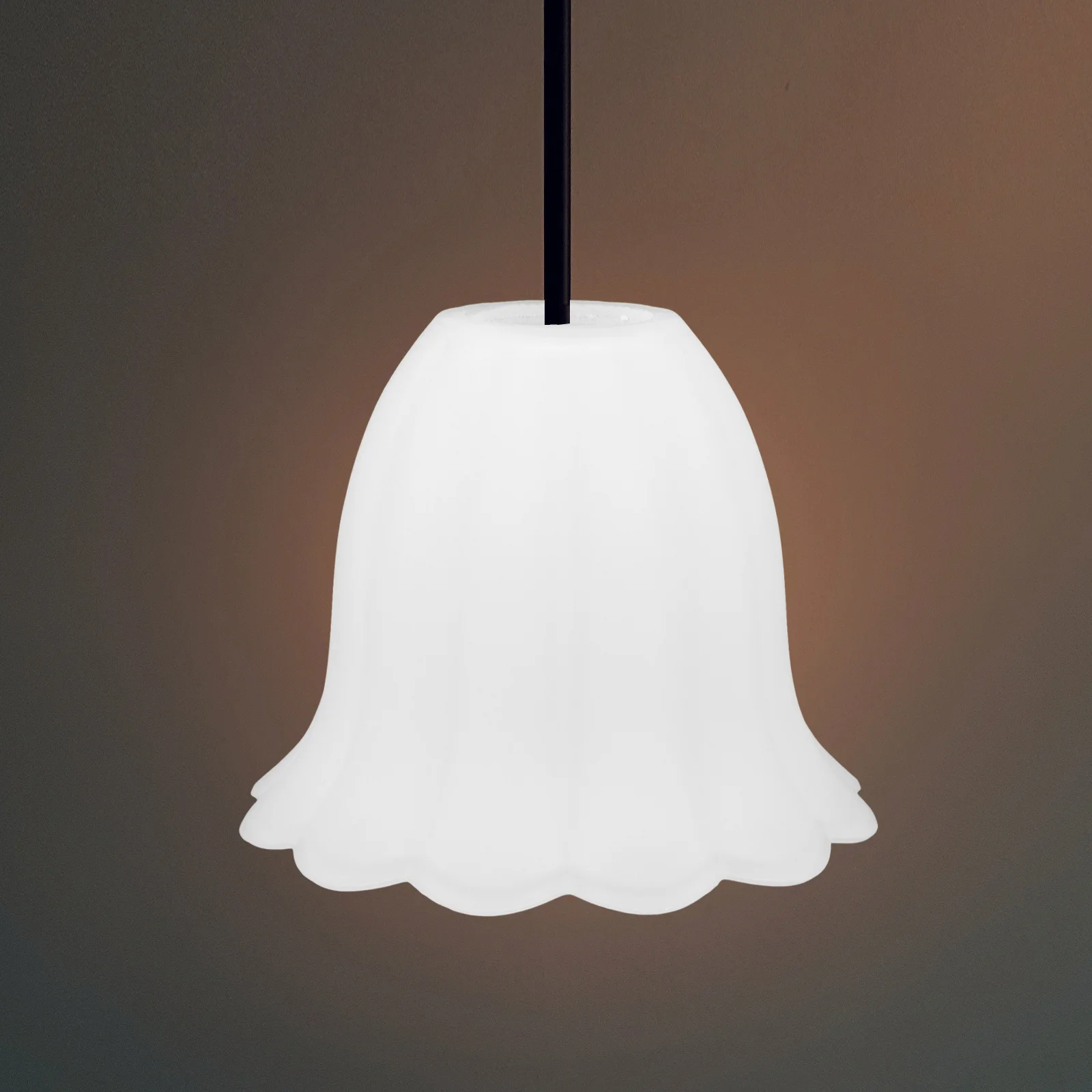 

Flower Shape Frosted Glass Pendant Light Bulb Cover Durable Lamp Shade for Wall Dining Room Lighting Pendant Light Shade