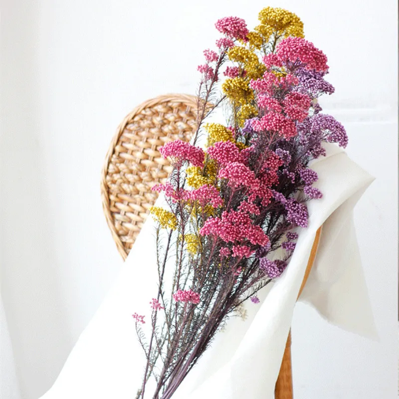 

Pink，Purple，White And Yellow Millet Flower Real Dried Bouquet About 60g A Bunch Home Wedding Store Office Decoration