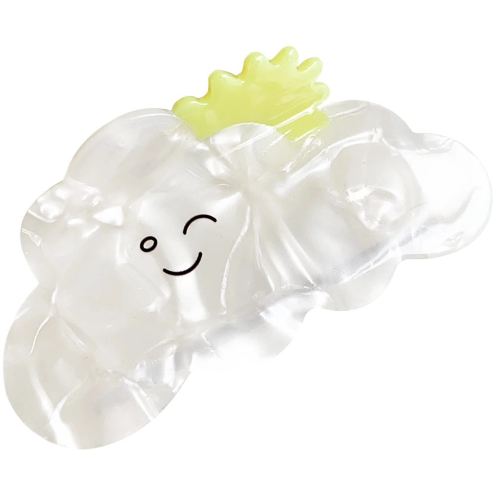 

2pcs Hair Claw Clips Acetate Stylish Women Decorative Jaw Clip for Cooking Eating Working Outfits Accessory