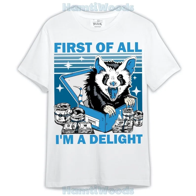 Powder Blue 9s Shirt, Opossum I'm A Delight Shirt Outfit