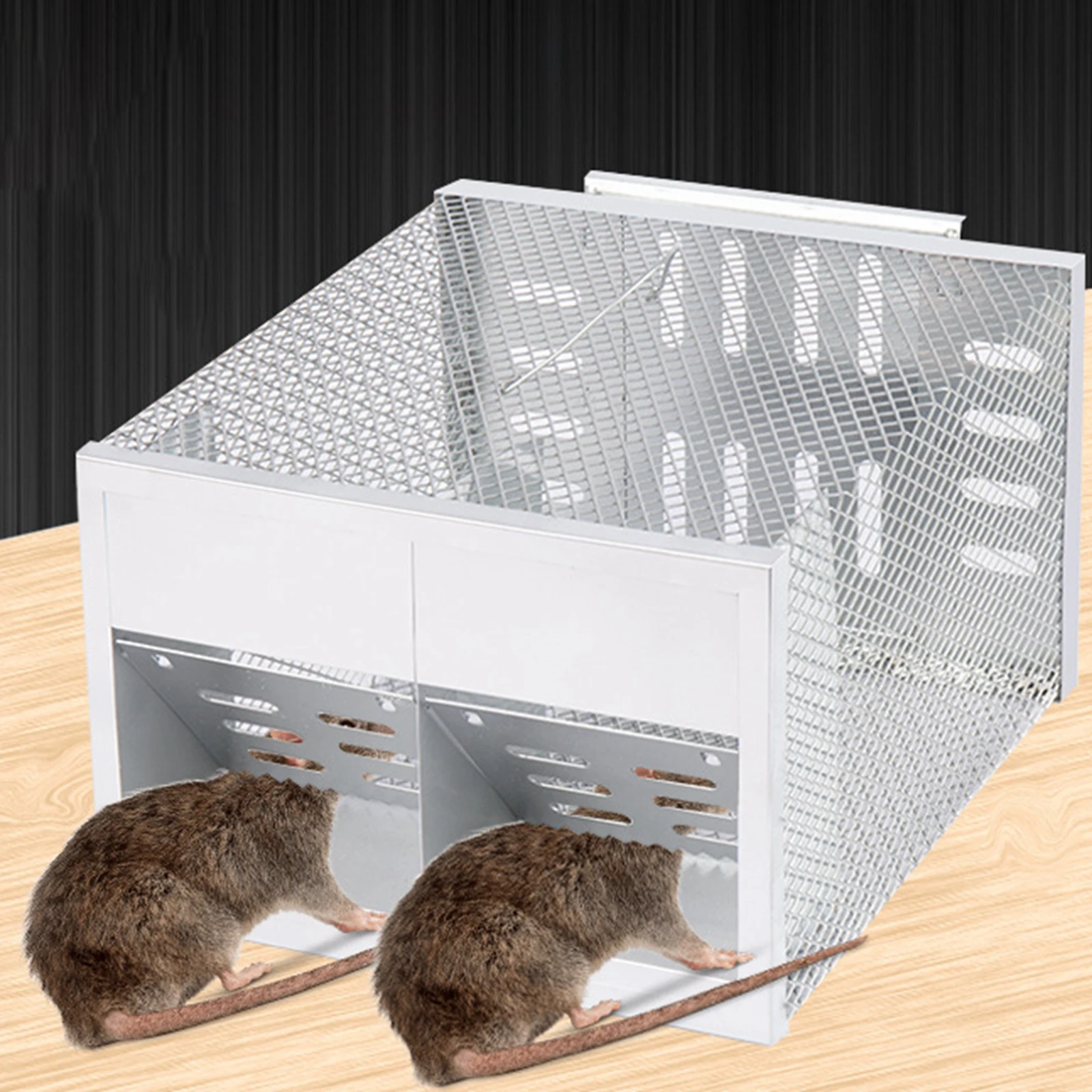 Humane Mouse Traps Easy to Set Rat Traps Vole Mice Catcher Rat Catching Cage for Home Indoor Outdoor Use Mouse Catching Tool