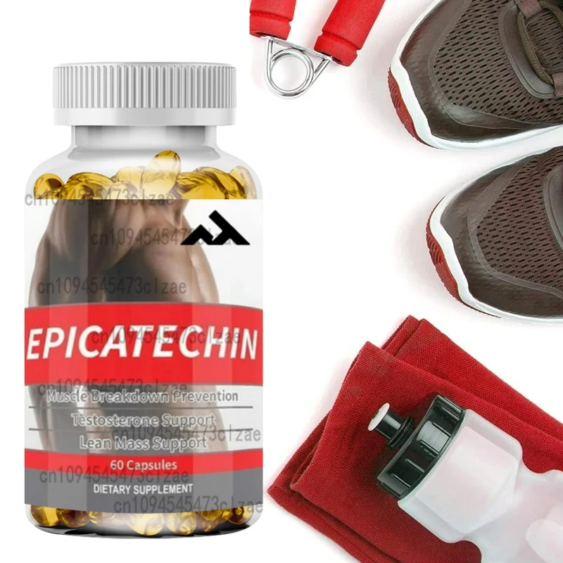 

EPICATECHIN - Maximizing Muscle Growth - Increasing Protein Synthesis, Gain, and Lean Muscle
