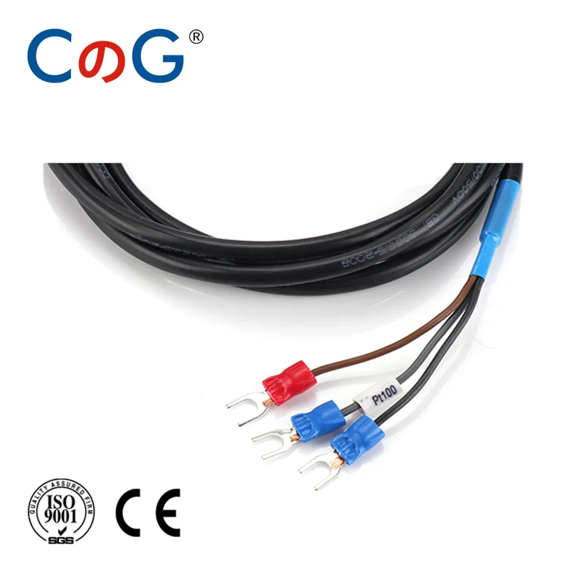 CG WZPT-03 PT100 1m 2m 3m 5m M12 Type Wire Cable 50mm 100mm 150mm 200 Probe Thermocouple Temperature Sensor for Temp Controller