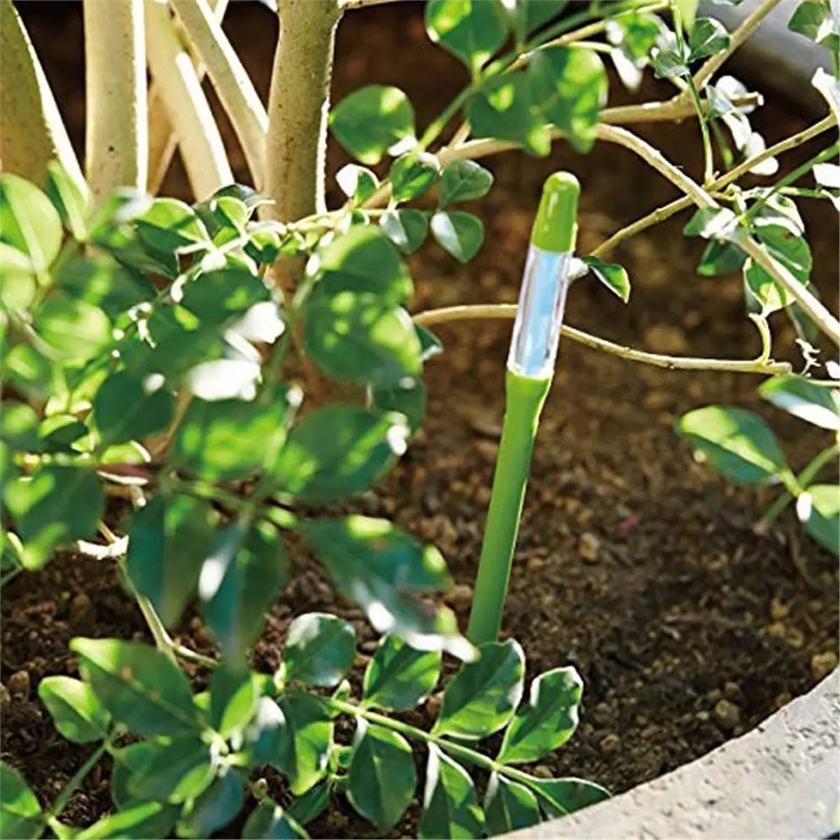 LNHF Aquameter, Bundle of 12, House Plant Soil Moisture Meter, Best for Indoor Potted Plants - Medium Green