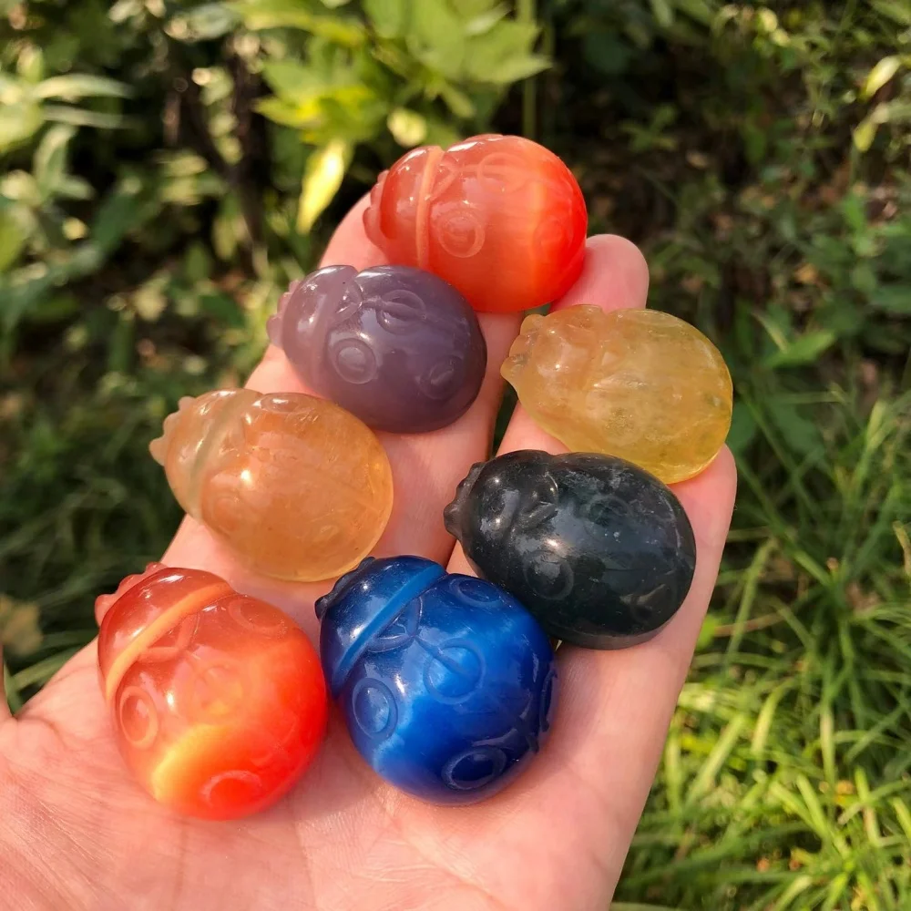 Random 5pcs ! Cat's Eye Stone Ladybug Raw Stone Hand Carved Statue Reiki Healing Crystal Home Decor Lucky Gift