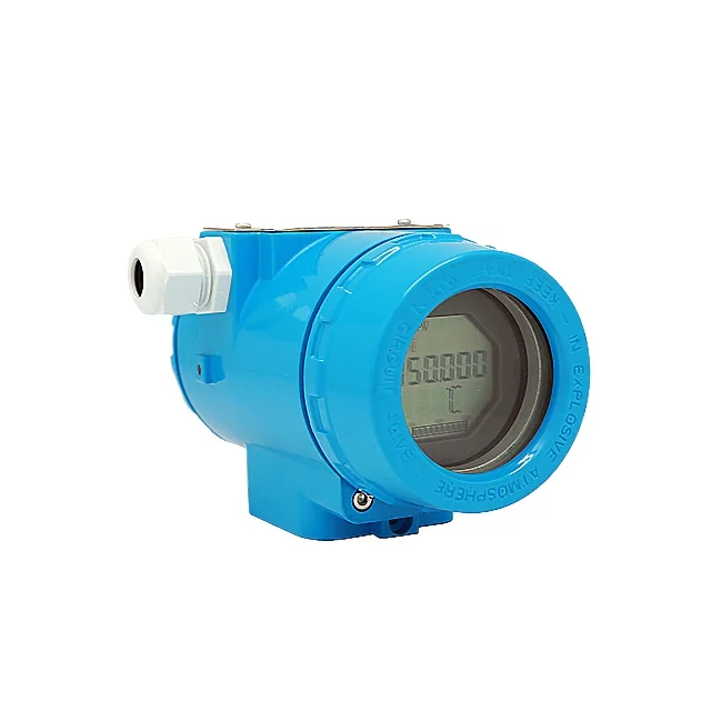 Large Range Temperature Transmitter High-end Industrial Custom Meters Temperature Gauge