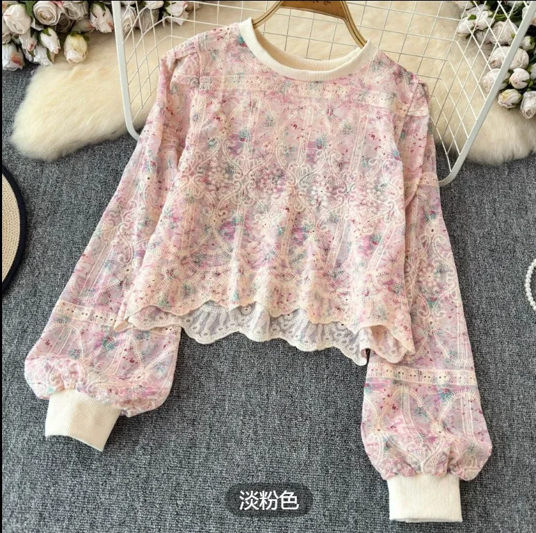 

French Vintage round Neck Embroidered Lace Splicing Long Sleeve Women's Design Sensation Niche Short Top Autumn 2026 New Arrival