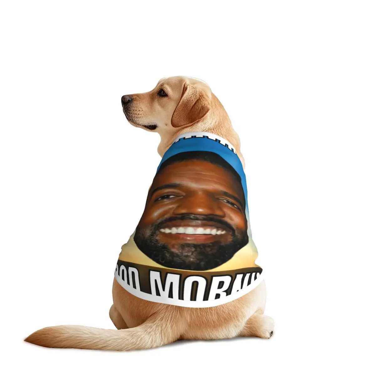 Personalized Funny Kanye West Meme Dogs Clothes Breathable Thin Rapper Music Producer Pet Vest Large Dog Jacket Pet Accessories