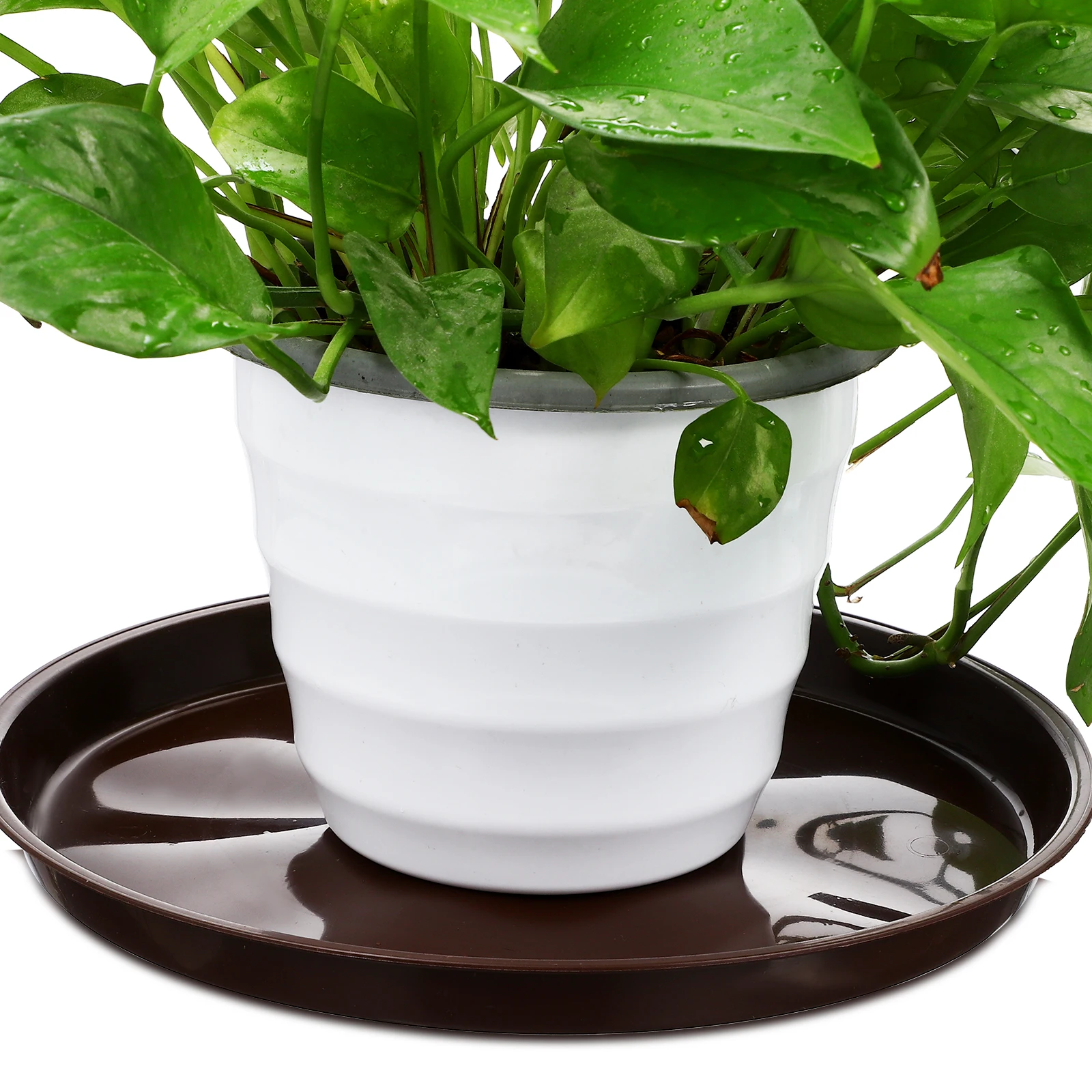 

5Pcs Plant Pot Trays Plastic Saucers Raised Edge Design for Clean Tidy Environment Indoors Outdoors Plant Pot Saucers