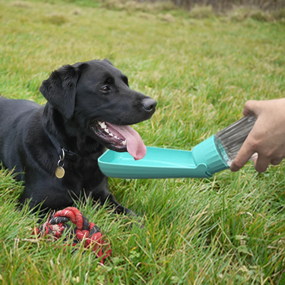 Distributeur d\'eau portable pliable pour petits et grands chiens, bol à boire, fournitures pour animaux de compagnie, adapté pour chiot, bouledogue