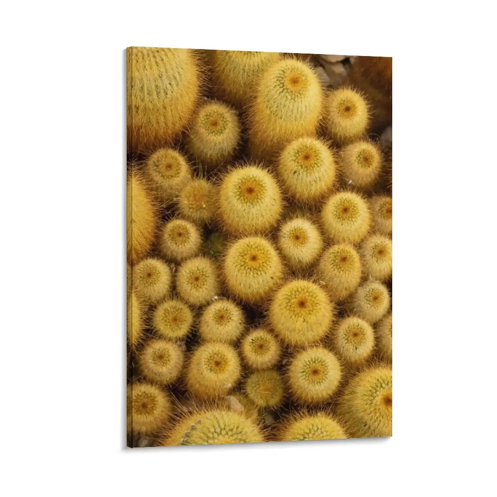 

Group of Yellow Cacti Canvas Painting fashion wall paintings wall decor