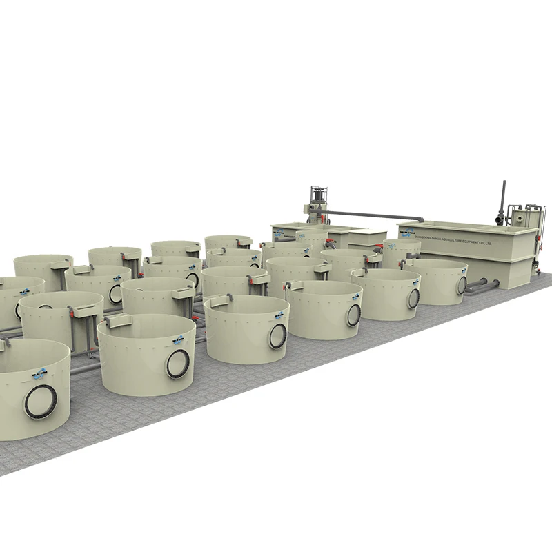 Hot Sale Durable Shrimp Recirculating Aquaculture Equipment Customizable Indoor Fish Farm RAS System Factory OEM Water Cycle
