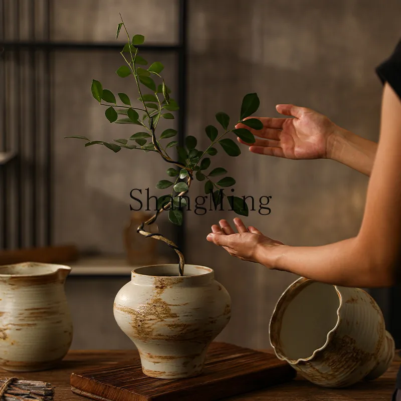 DSA ceramic flower pot small retro Zen coarse pottery jar creative ornament triangle plum special flower device