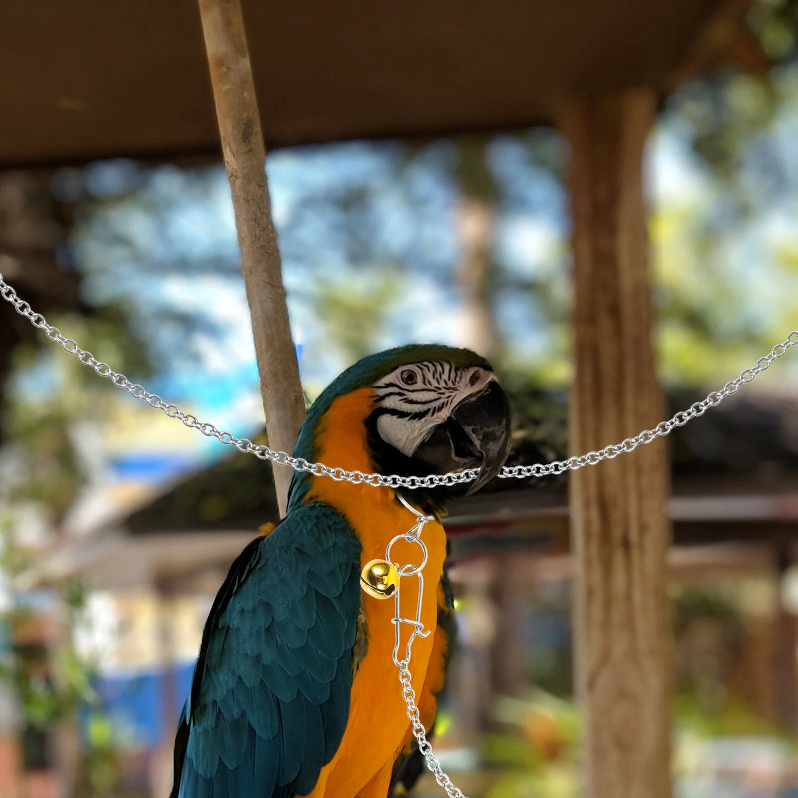 

Stainless Steel Parrot Neck Cover 30cm Chain Small Bell Bird Harness Collar Leash Training Tool Pet Parrot Chain Flying Harness
