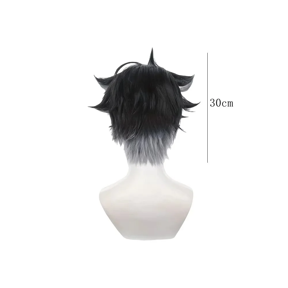 Dark Two Tone Messy Hair Wig Wolf Cut Style Anime Game Role Play Wigs Daily Wear Party Halloween Hairpiece Gift For Boys Men
