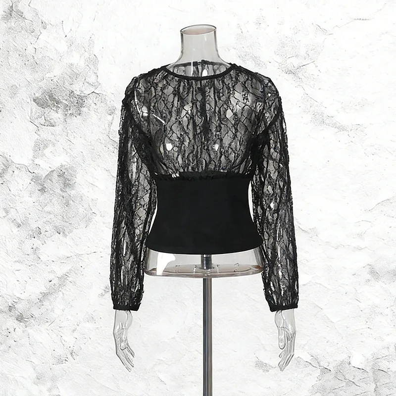 ZAMOR HIGH STREET Women's 2026 New Sexy Street Style Long Sleeve Round Neck Fashion Lace See-Through Design Base T-Shirt