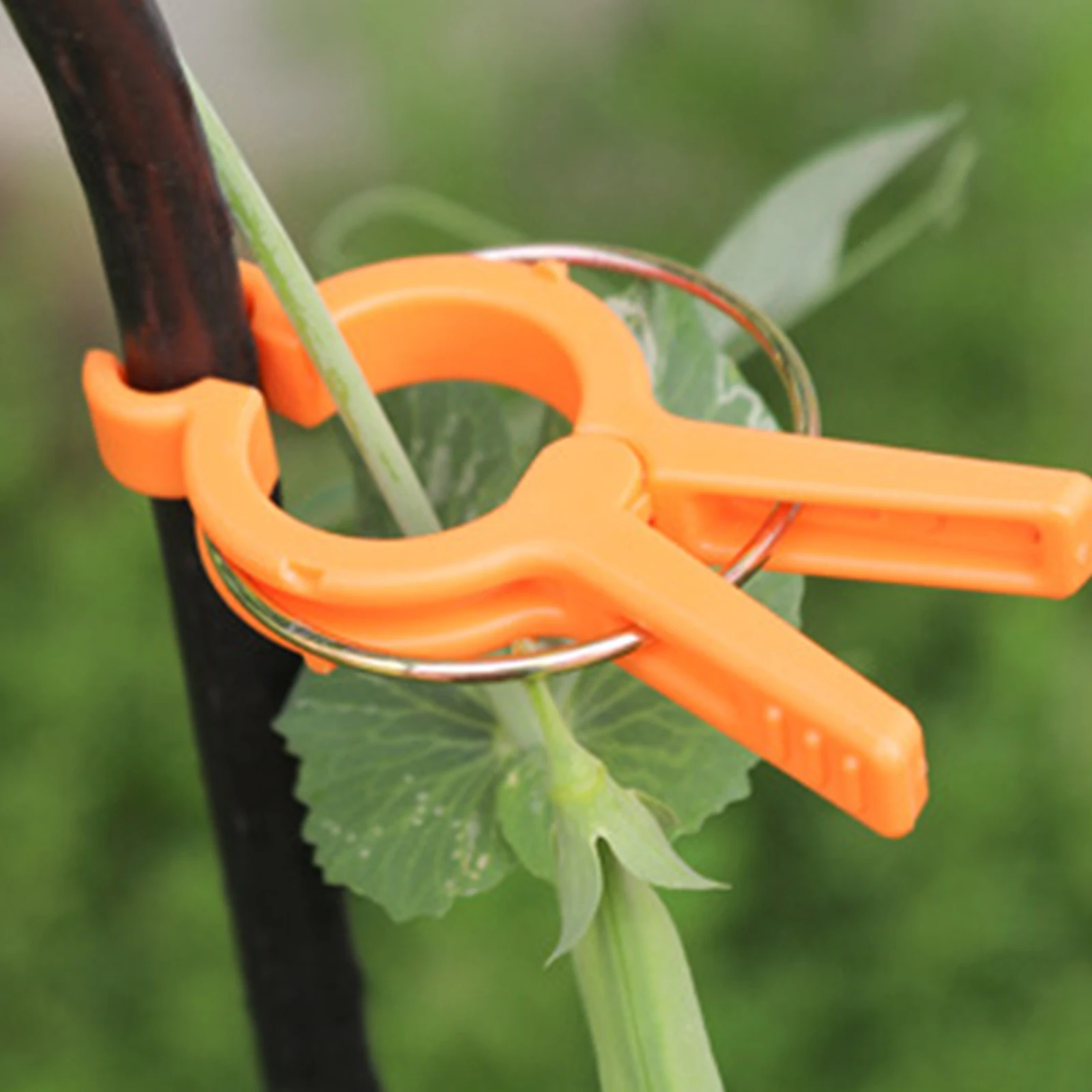 12PCS Plant Fixed Clips Reusable Greenhouse Bracket for Fixed Plants Vine Flower Seedling Tomatoes Support Garden Supplies