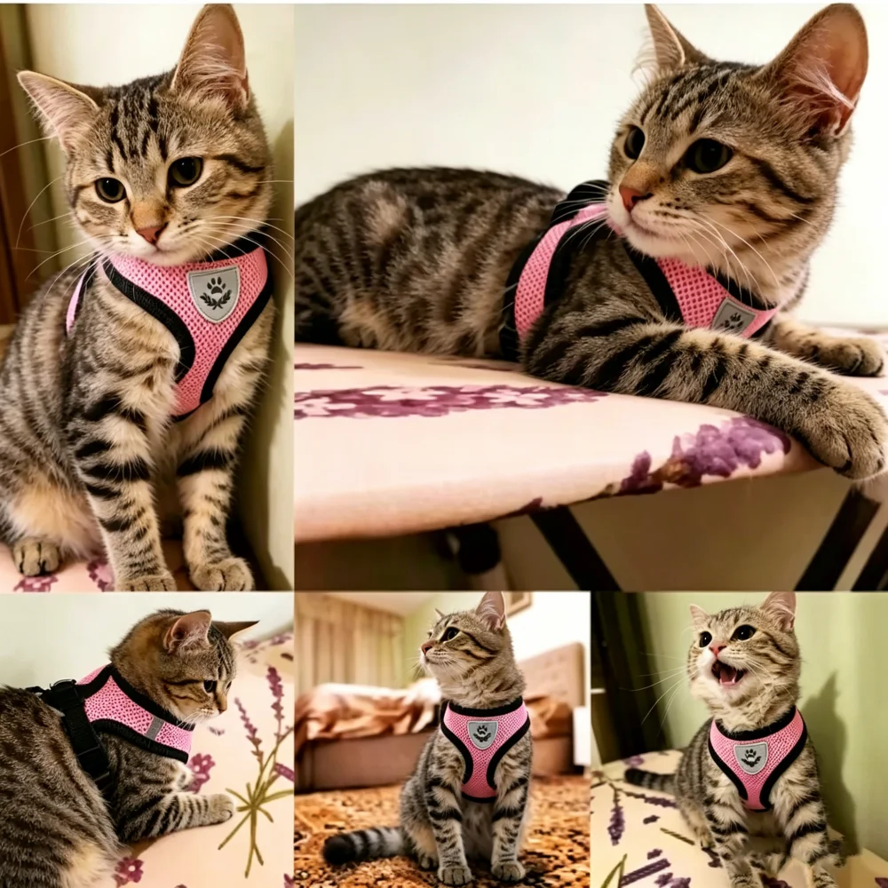 Cat Harness Vest Walking Lead Leash For Puppy Dogs Collar Adjustable Mesh Dog Harness For Small Medium Pet Accessories 4 Colors