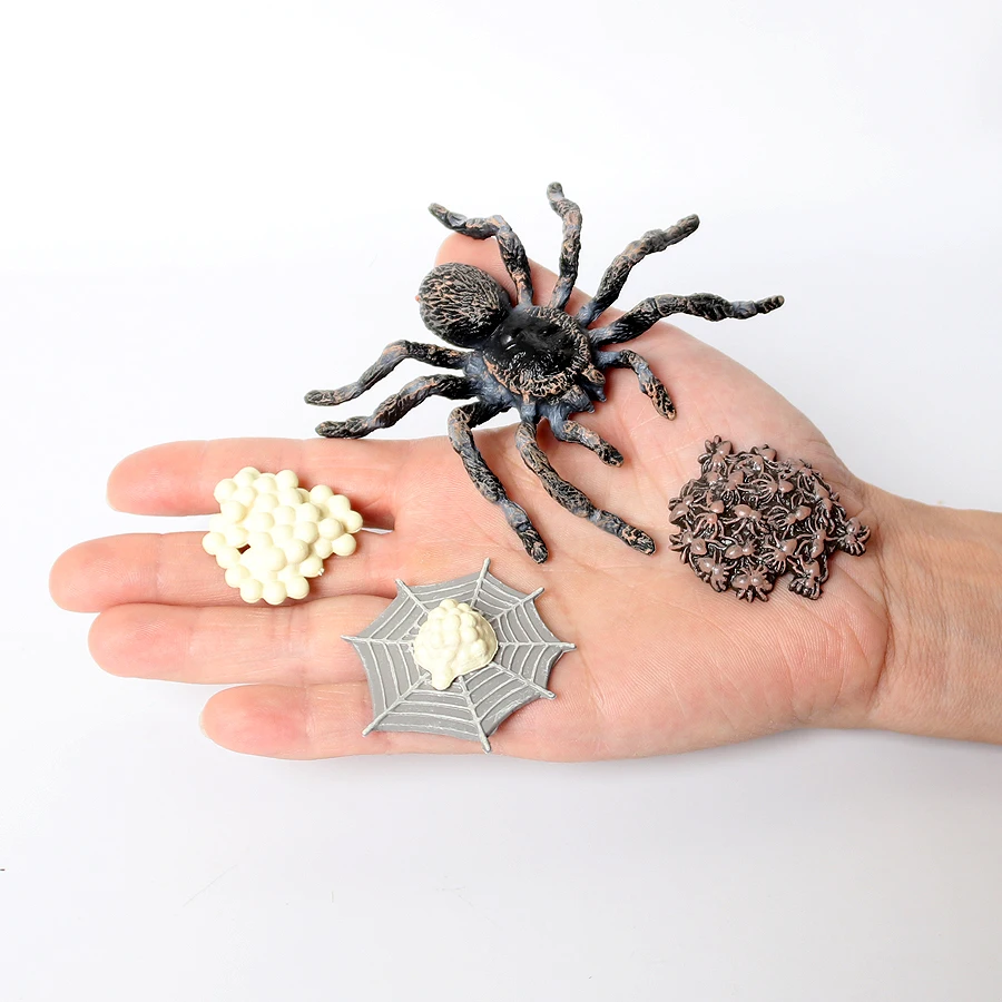 سلسلة دورة حياة مونتيسوري الواقعية من العنكبوت المراوح العقرب النمل الرتيلاء الحشرات نموذج أرقام تعلم ألعاب تعليمية