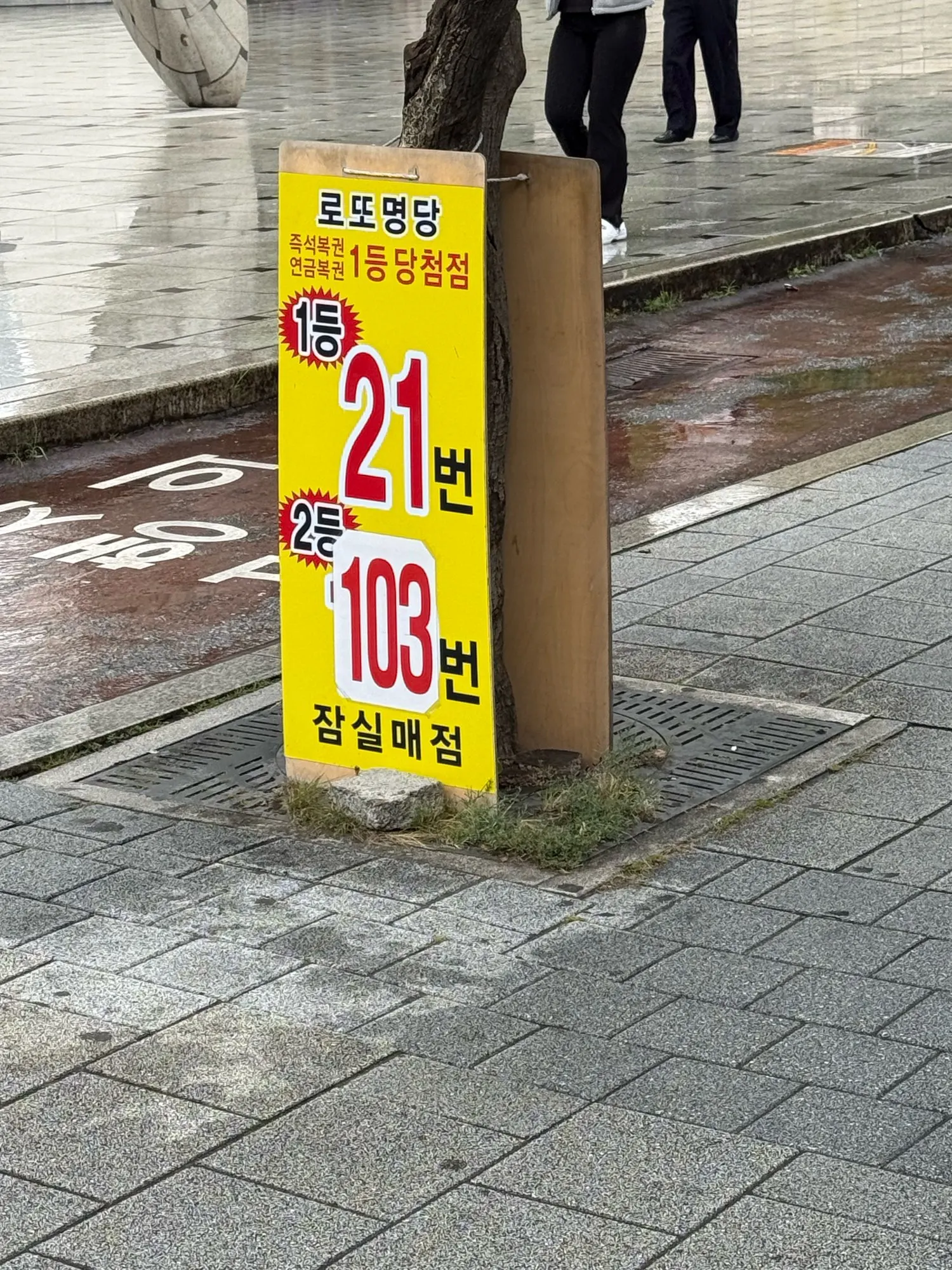 리뷰 사진
