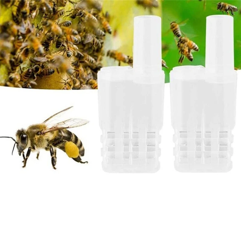 

Bee Queen Cages Bee Cages Beekeeping Catcher Bee Equipment Plastic White Safety Beekeep Cage Beekeeping Supplies-FUNN