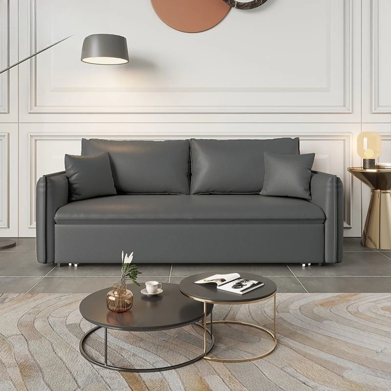 

Multi-functional living room, double small apartment, Nordic light luxury pull-out leather sofa bed, leather folding and dual-
