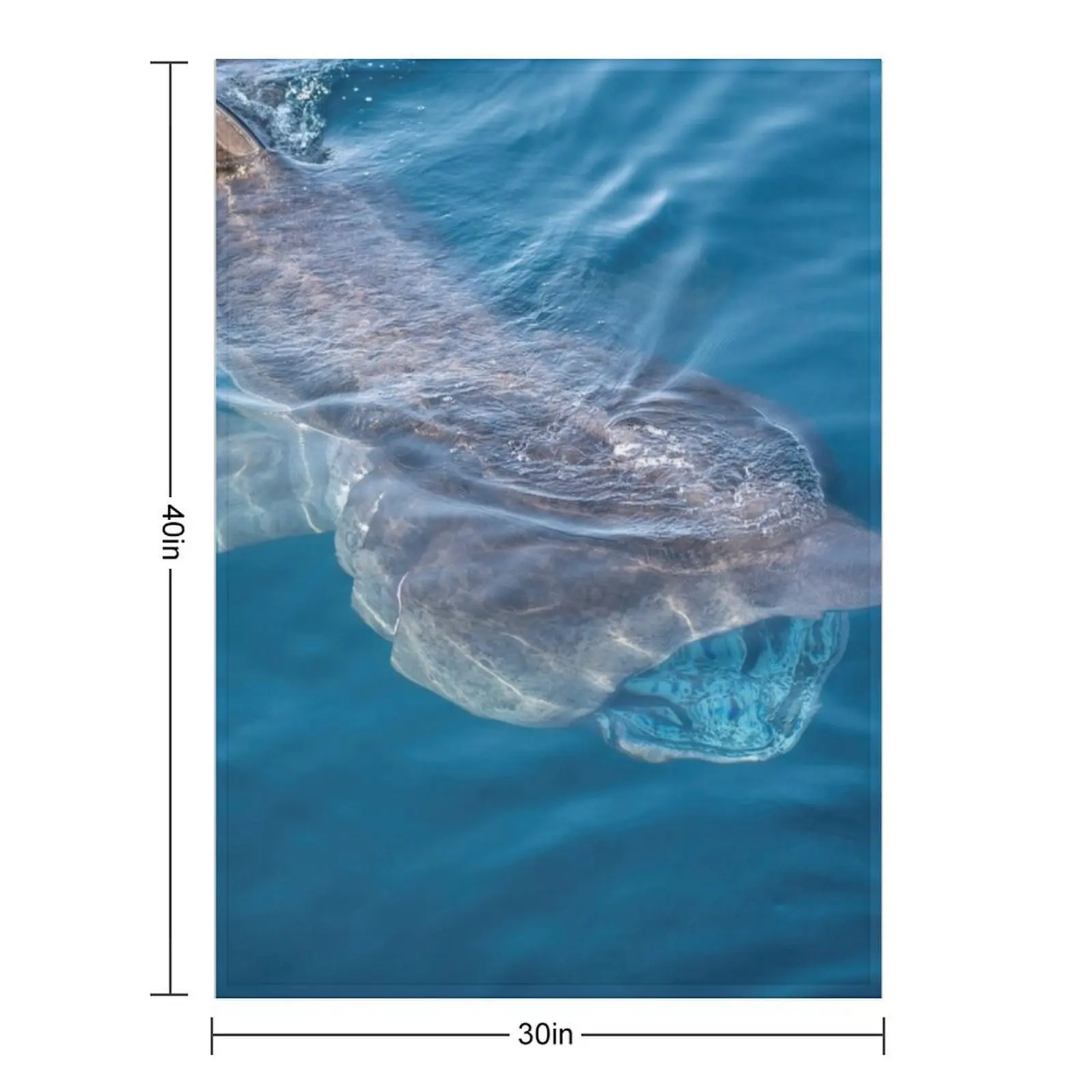 Basking Shark, West Cork, Ireland Throw Blanket Tourist Soft Plush Plaid Flannels Blankets