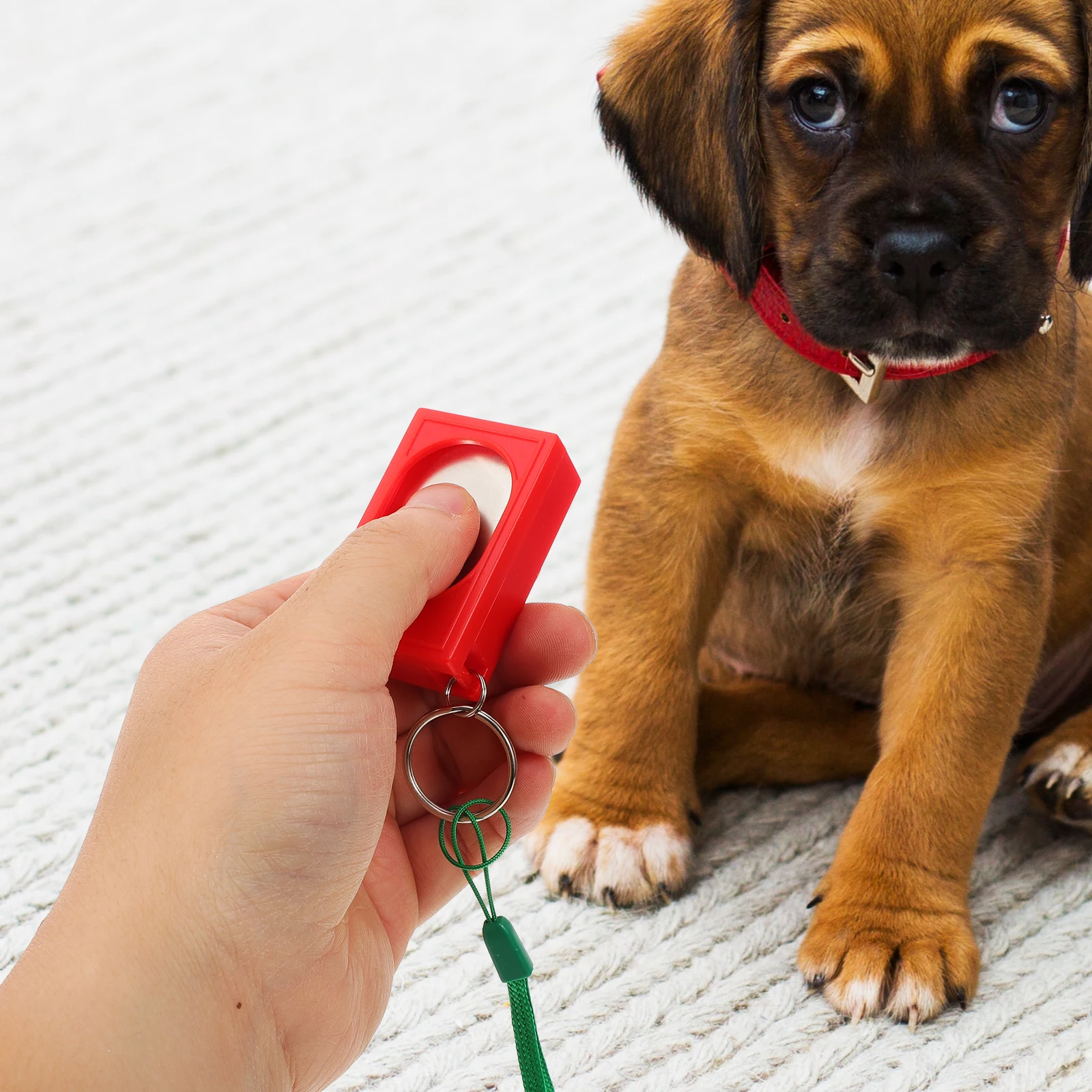 

2pcs Dog Trainer Pet Clickers Tool for Dogs Door Press Compact Vibration Suitable All Types Portable Convenience