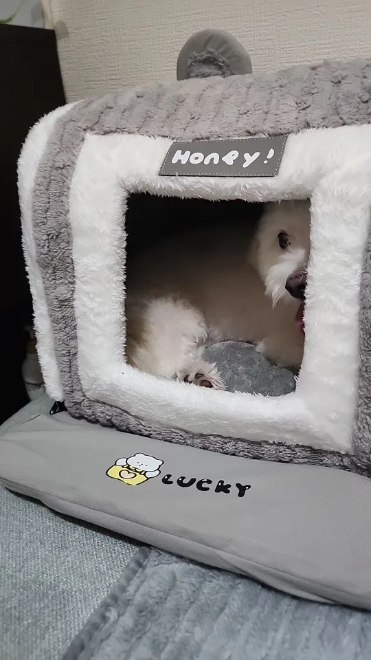 Hundehütte für drinnen, weiches, gemütliches Haustier-Schlafbett mit Loch, abnehmbare warme Katzenhütte, rutschfeste Matte für Kätzchen, Welpen, Haustier-Winterbedarf – Detail 10