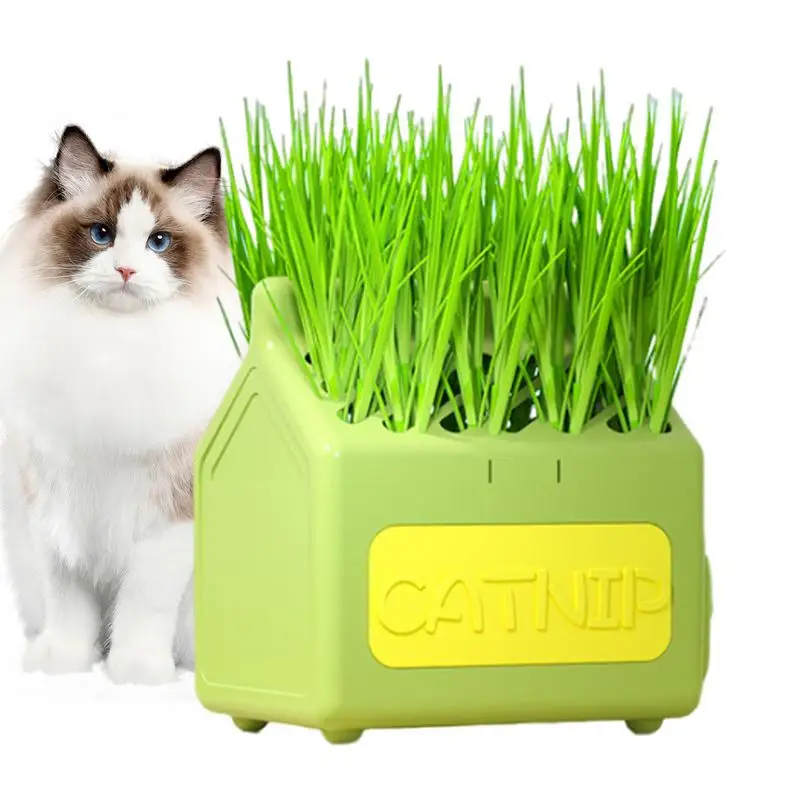 Cat Grass Planter Tray Anti Digging Grass Planting Container Catnip Cat Grass Tray Grass Sprouting Trays Removable Supplies