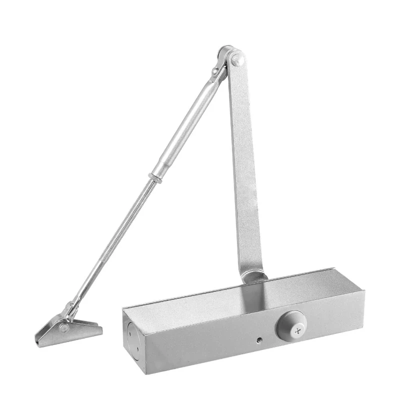 

Dual Position Speed Hot Sale Model Door Closure Heavy Duty Closure