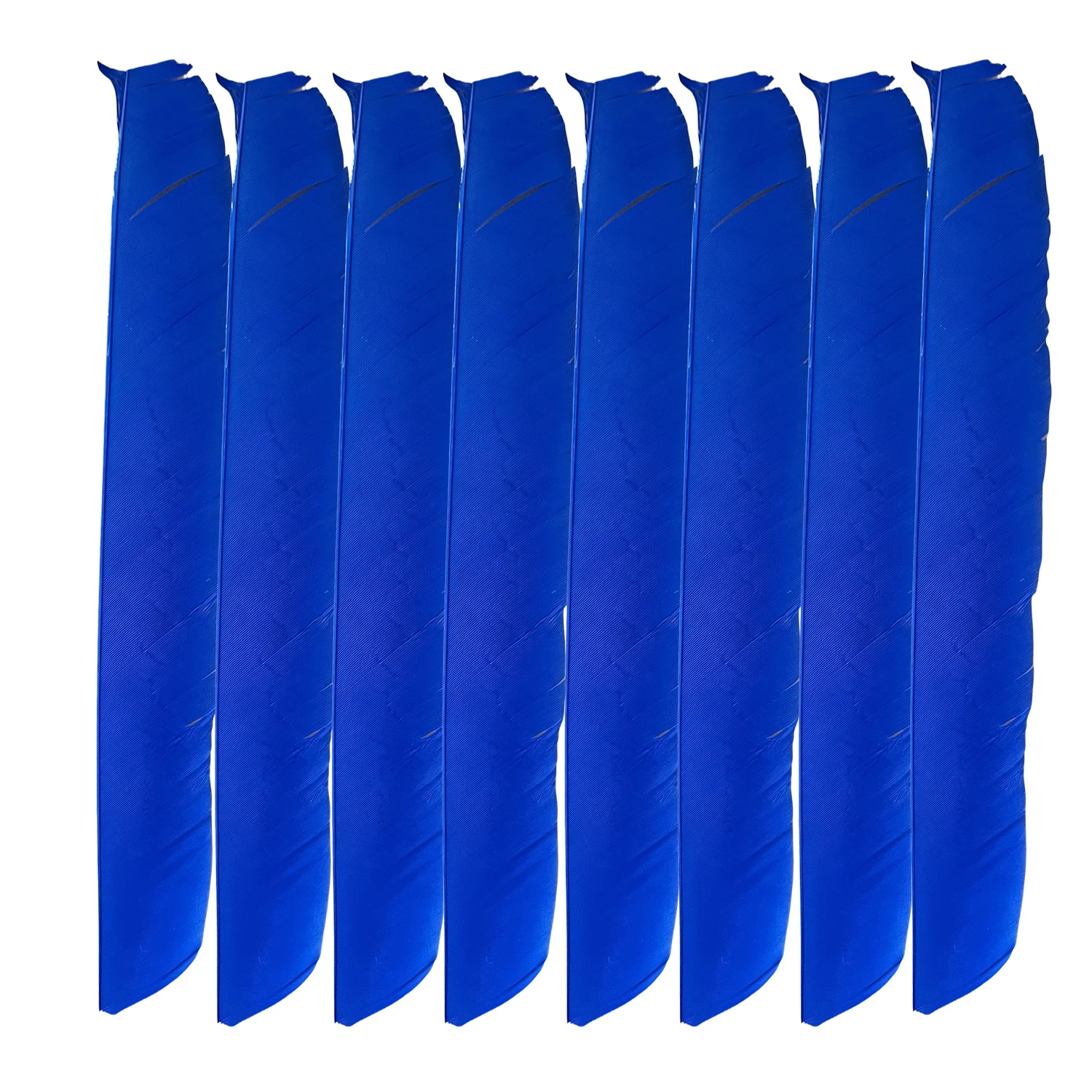 50Pcs 9-10Inch Fletching Arrow Feathers Multicolor Full length Real Turkey Feather NO Cut
