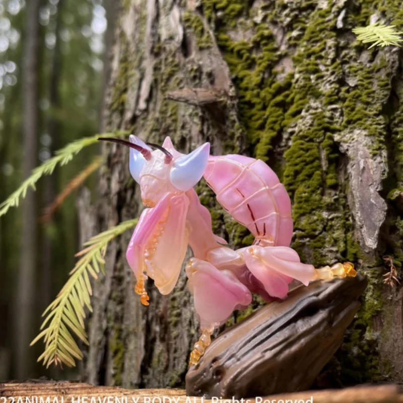 حار بيع! Animal Planet Heart Wide Body Fat Series 11th Bug Series 02 نموذج لعب زخرفة محمولة #2