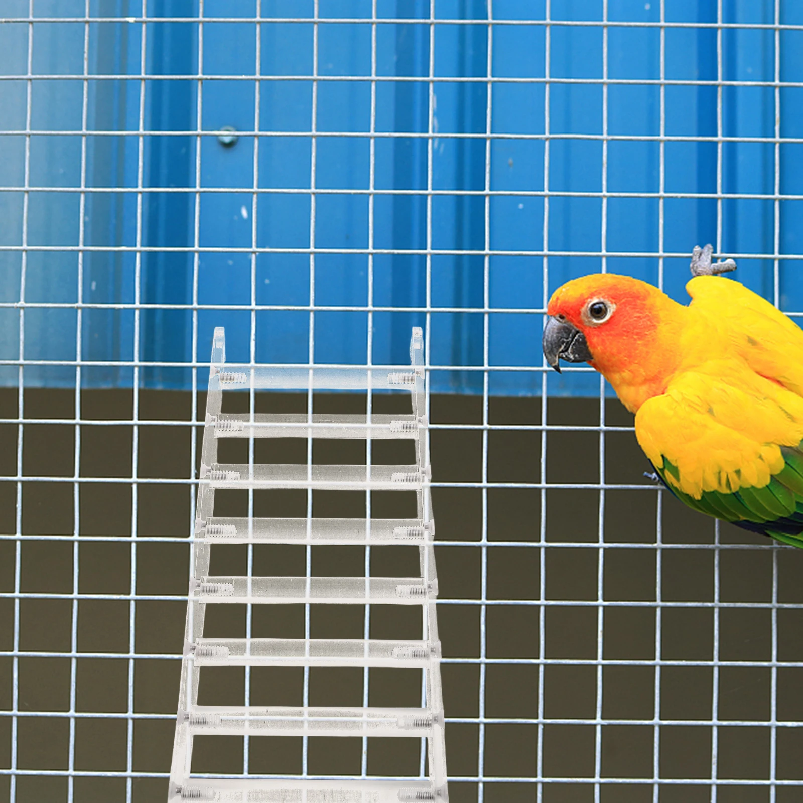 

Acrylic Parrot Climbing Ladder Bird Cage Step Bridge Chew Resistant Durable Easy Install Pet Playground Toy for Cockatiels