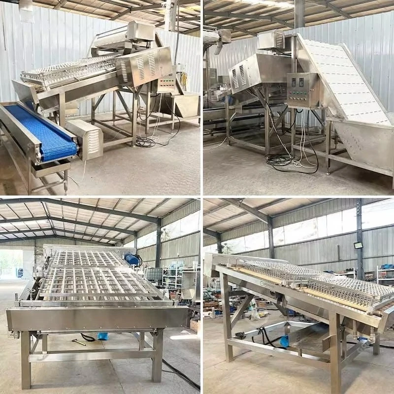 Vannamei Penaeus Prawn Shell Remover Machine Custom Stainless Steel Shrimp Peel Processing Tool