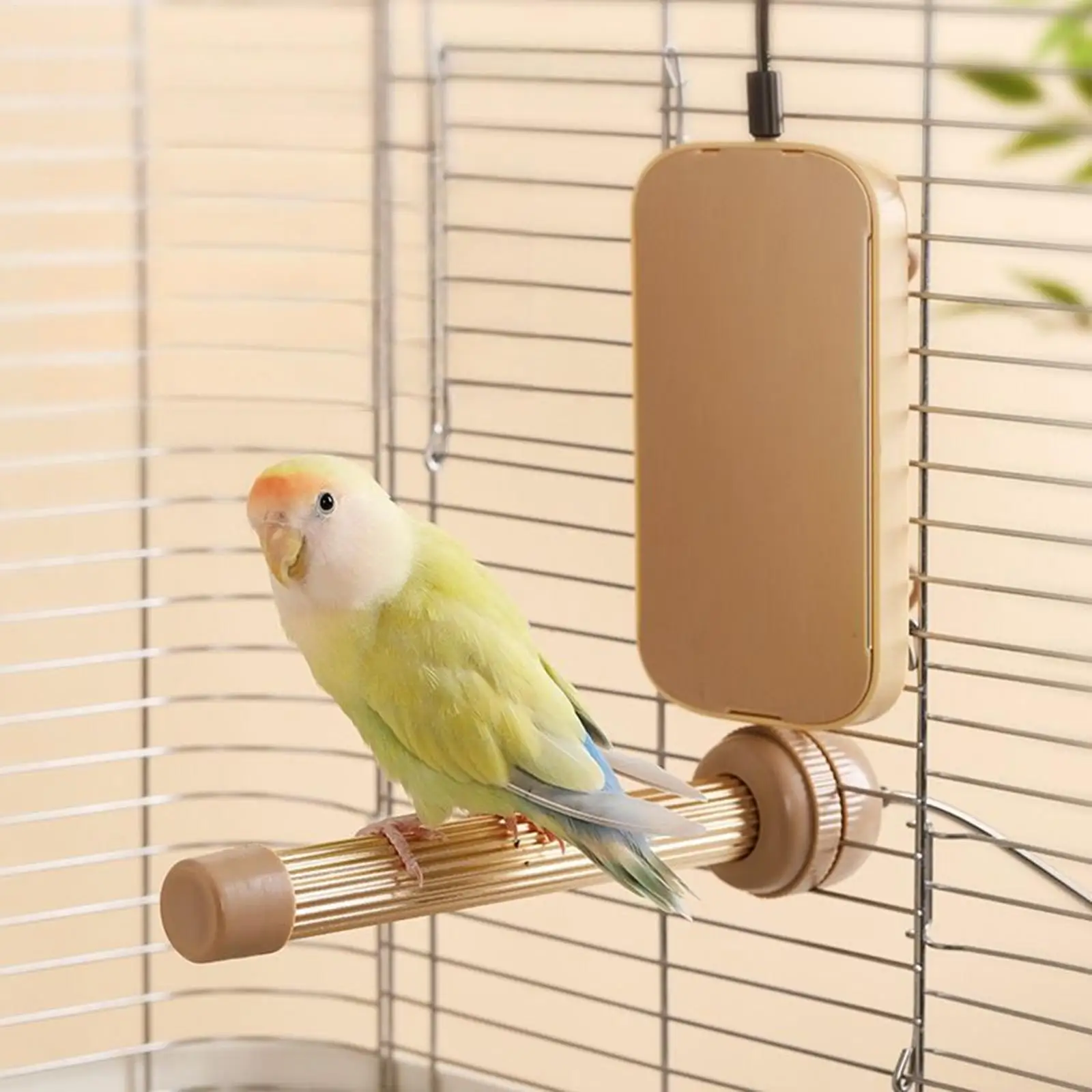 Bird Cage Heater Indoor Bird Coop Heater Pad Anti-Scald Parrot Heater Pet Supplies for Parakeets African Grey Cockatiels Conures