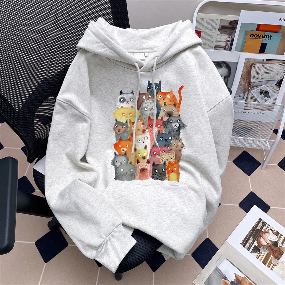 

American Sle Heavyweight Hoodie Sweatirt Men Women Loose Casual Thiened Autumn Winter Spring Faion Streetwear