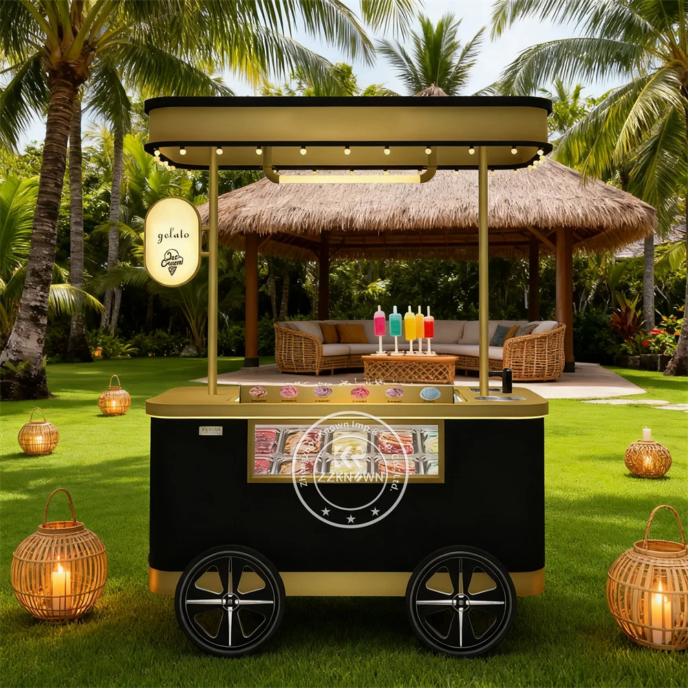 

Europe Gelato Cart Display Freezer Showcase Cold Drinks Beverage Ice Cream Push Cart with Freezer Bike Vendor Food Trailer USA